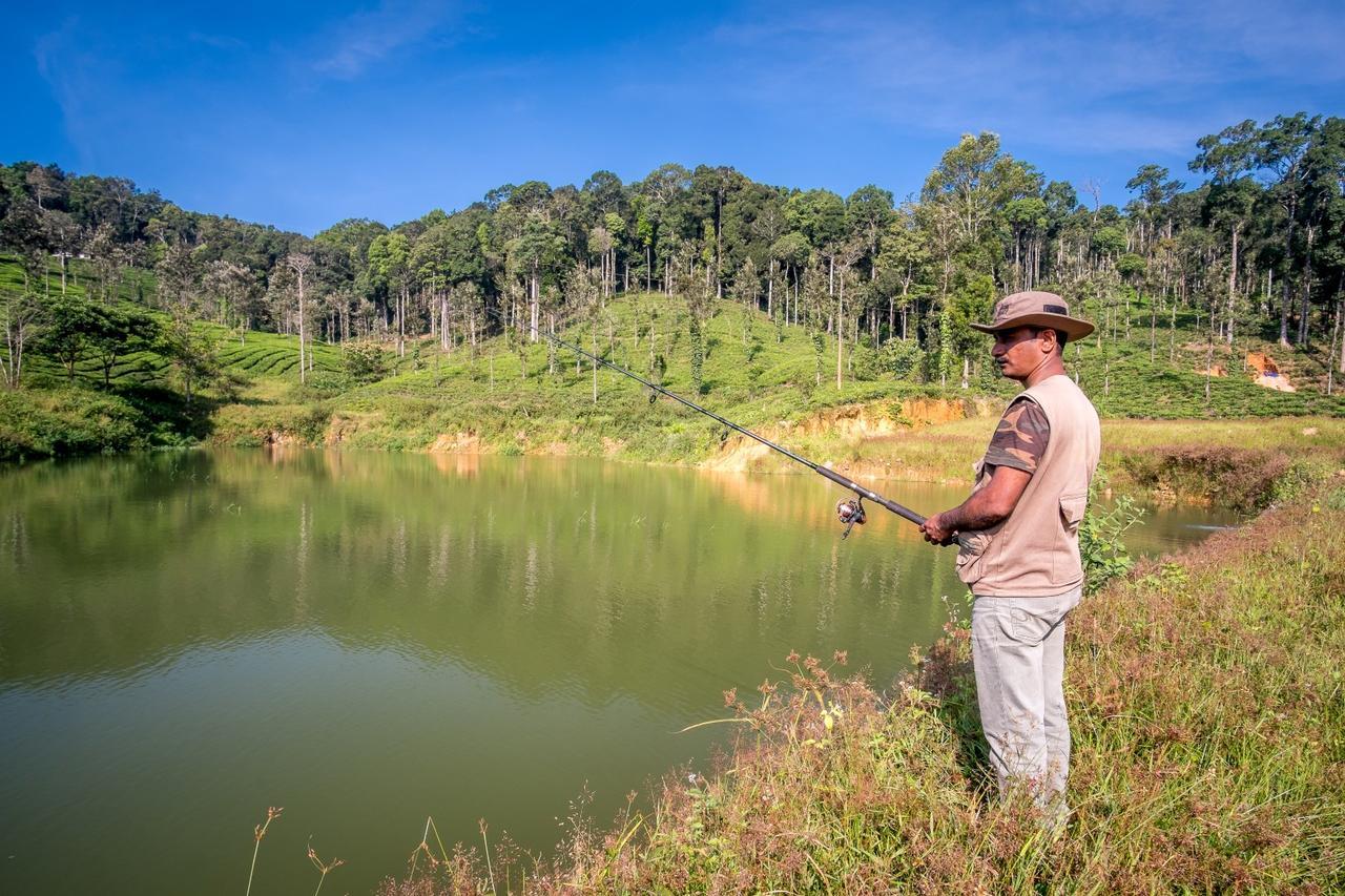 Wild Planet Jungle Resort Devāla Eksteriør bilde